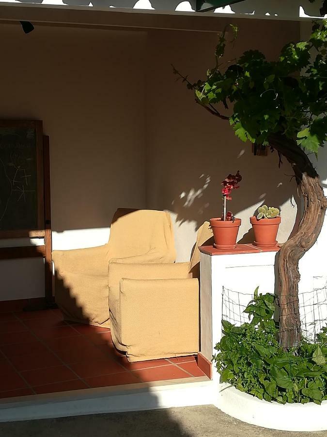 Affittacamere Casa Dos Pedro'S Vila Nova  Esterno foto